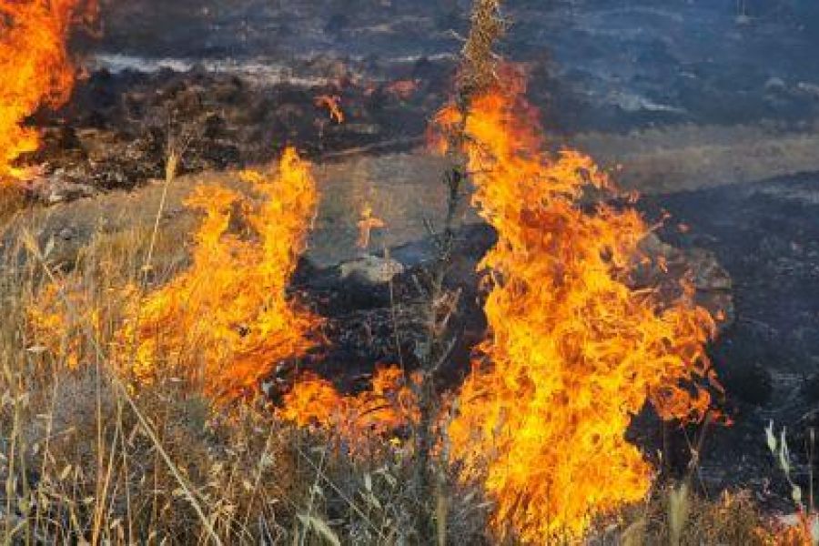 Πυρκαγιά στα Πέρα Ορεινής: Στη μάχη με τις φλόγες Πυροσβεστική και κάτοικοι